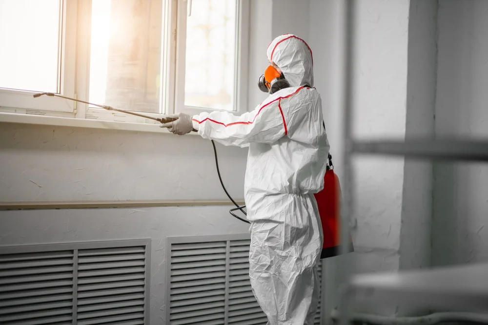 Professional mold remediation services in Moxahala, OH